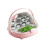 Silkworm Breeding Container Clear Habitat Cage With-fen se 1