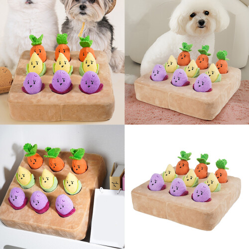 Jouet pour animaux de compagnie lavable en Machine, jouet 1