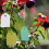 Επαναχρησιμοποιούμενες ετικέτες κήπου, ετικέτες φυτών, αδιάβροχες κρεμαστές 3