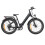 ENGWE ENGWE E26 ST Step-Thru Electric Bike, 16AH,Black 2