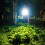 USB Rechargeable Reflective Running Vest with Front Safety Light 3