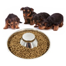 Comedero lento para perros de acero inoxidable de 34 x 8 cm, antivuelco, para interiores, L