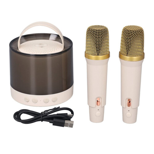 Draagbare karaoke-luidspreker met dubbele microfoon voor kinderen, 5W, 100x87mm 2