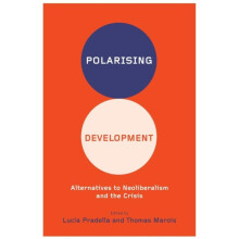 Polarizing Development Paperback Book