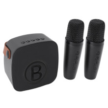 Tragbarer Karaoke-Lautsprecher für Kinder: Bluetooth-Doppelmikrofone, Schwarz