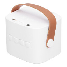Tragbare Karaoke-Maschine für Kinder mit zwei Mikrofonen, Bluetooth und 2000-mAh-Lautsprecher