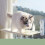 Foldable Cat Window Hammock 44.1lb Load Breathable Knitmesh Durable 3