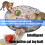 Hide Seeks Interactively Cats Toy with Detachable Play Mats-B 6