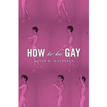 How To Be Gay by David M. Halperin Paperback Book