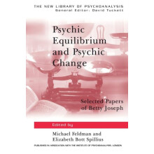 Psychic Equilibrium and Psychic Change Paperback Book