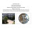 Night Vision Camera Module for Raspberry Pi Zero 5MP 1080P IR Cut 4