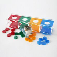Acryl-Münzbox mit Vogelmotiv und Farbtrennung, interaktives Tischspielzeug