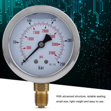 Raccordo per punto di prova del tubo flessibile idraulico M16*2-BSP1/4 + manometro 0~250BAr 3600PSI