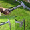 Heavy Duty Camping Hammer 30.5cm Multifunction Tool with Puller & Cord 3