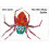 The Very Busy Spider 1