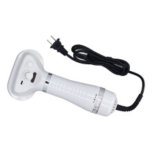 Professional 4-in-1 Spray Cat & Dog Hair Brush Hair Dryer ABS