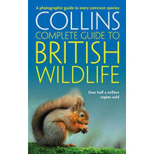 British Wildlife by Paul Sterry Paperback Book