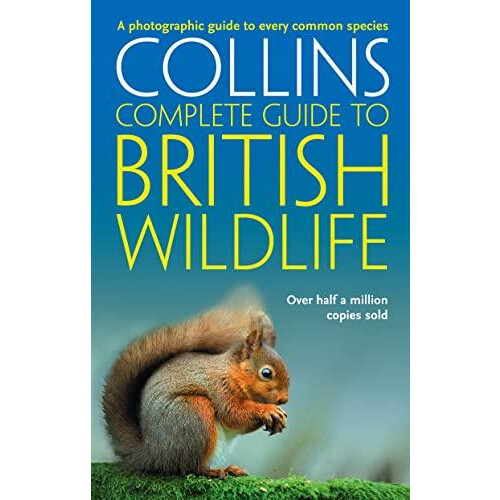 British Wildlife by Paul Sterry Paperback Book