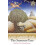 The Summer Tree by Guy Gavriel Kay Paperback Book 1
