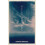 After Arrival by Massimo Paradiso Paperback Book 1