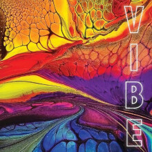 VIBE by Jo Baldwin Trott Hardcover Book
