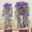 Artificial Hanging Flower for Outdoor Hanging Plant-White 5
