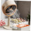 Mini Desktop Range Hood USB Powered Kitchen Extractor Fan For Hot Pot BBQ 2