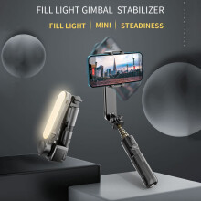 28.3-Inch Multi-Function Selfie Stick with Fill Light, Remote, Tripod in Black