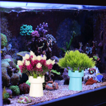 Lot de 2 fleurs artificielles colorées en silicone pour aquarium, pour la décoration.