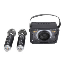 Kinder-Karaoke-Maschine, kabelloser tragbarer Bluetooth-Lautsprecher mit Mikrofon, Schwarz
