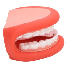 Educatieve mondpop voor spraaktherapie met tong- en tandenmodel en tandenborstel voor kinderen