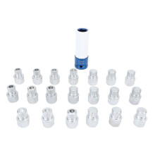 21-teiliges Radmuttern-Entferner-Set mit 1/2-Zoll-Adapter und Koffer