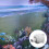 Multifunctional Aquarium Water Outlet  For Adjustable-White 4
