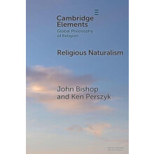 Religious Naturalism by Ken University of Waikato Perszyk Paperback Bo