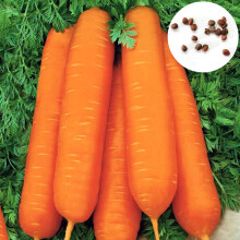Semi Di Carota, 200 Seeds Per Bag, Easy To Plant Garden Carrot Seeds, Mini Carrots For Home Garden