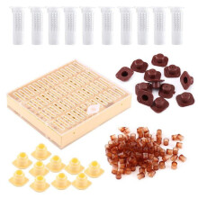 Honey Bee Queen Rearing Box, Acrylic Beekeeping Tool for Efficient Honey Bee Breeding, Essential Beekeeping