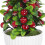 Árvore Bonsai Falsa Vaso Para Interior Com 8