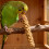 Millet Natural Para 500 G 6