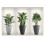 Ρυθμιζόμενος ψεκαστήρας άρδευσης πλήρους κύκλου ή τόξου, βελτιστοποιημένος 1