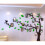 Nature's Showcase: Διαφανής ακρυλική ταΐστρα πουλιών, Διαφανής ταΐστρα πουλιών, Ιδανική 5