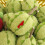 Plush Fruit Cats Chewing Toy For Stimulating Play-pitaya 7