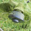 Petrol Strimmer Replacement Head, Durable Knobs and Head for Lawn Mowing, High Compatibility with Various Mowers for Efficient Grass Trimming 4