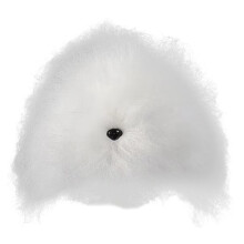 Synthetic Fiber Pet Grooming Training Hair Dog Head-hair white