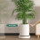 Portables Planter Base Leakproof Design-Black inner width 30 3