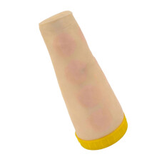 Modèle d'injection intradermique, outil pédagogique-bras