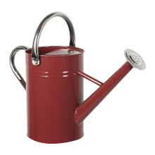 Arrosoir pour plantes en fer, style rétro, 5l, buse à-Bourgogne