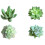 11Pcs Miniature Artificial Potted Plant Realistic Artificial 5