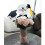 Doctorial Hat with Tassels Shape Candy Ball Acrylic Container 5