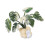 Needle Felting Supplies with Instruction for Beginner Monstera 1