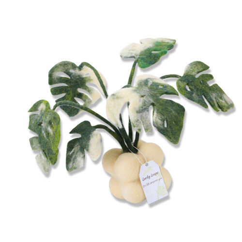 Needle Felting Supplies with Instruction for Beginner Monstera